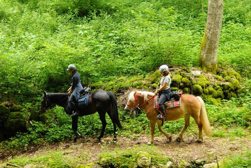 Due corsi per Guide di Equitazione di Campagna al Centro Equestre Federale