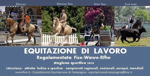 1° Concorso Multidisciplinare ufficiale delle equitazioni di lavoro Fise-Wawe-Rfhe 