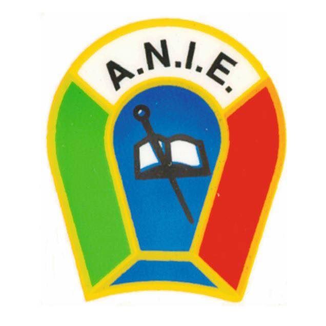 ANIE: l’associazione che sta dalla parte di Istruttori e Tecnici FISE