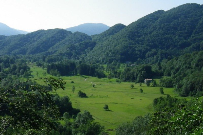 Concorso Internazionale a Taipana nel fine settimana
