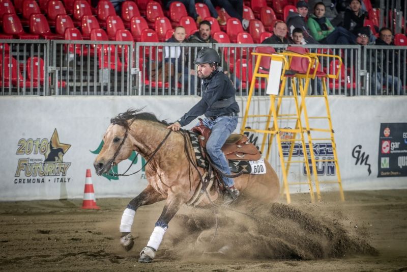 On line il regolamento del Campionato Italiano Parareining