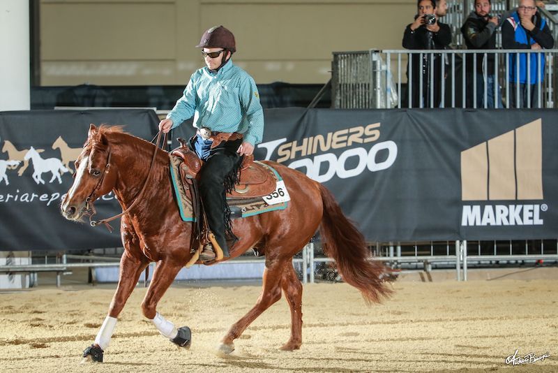 Fieracavalli: il grande parareining di Elementa Masters Premiere
