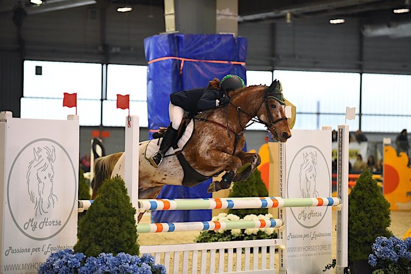 My Horse Official Supplier della Federazione Italiana Sport Equestri