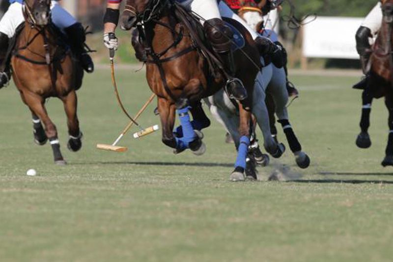 Bozza Regolamento Polo 2019