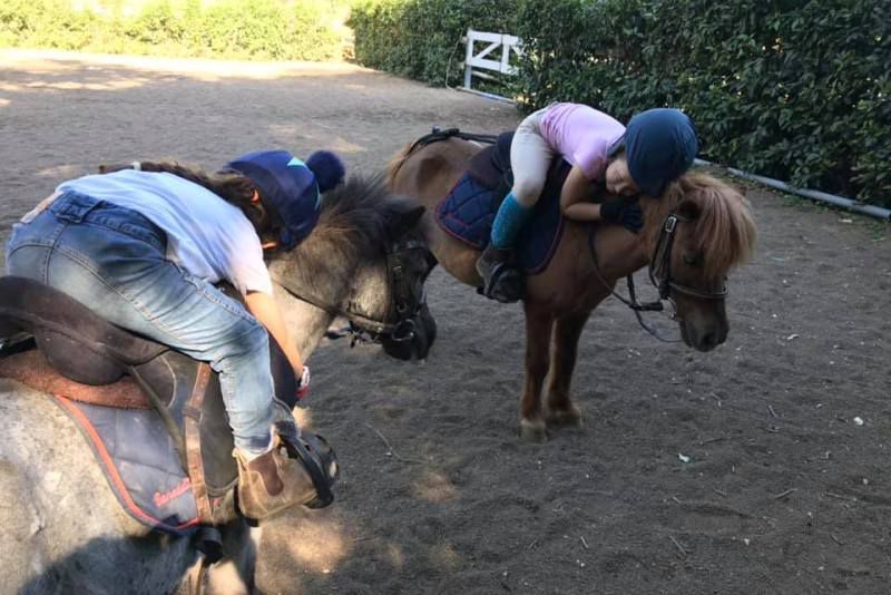 Equitazione: RiparTiAmo!