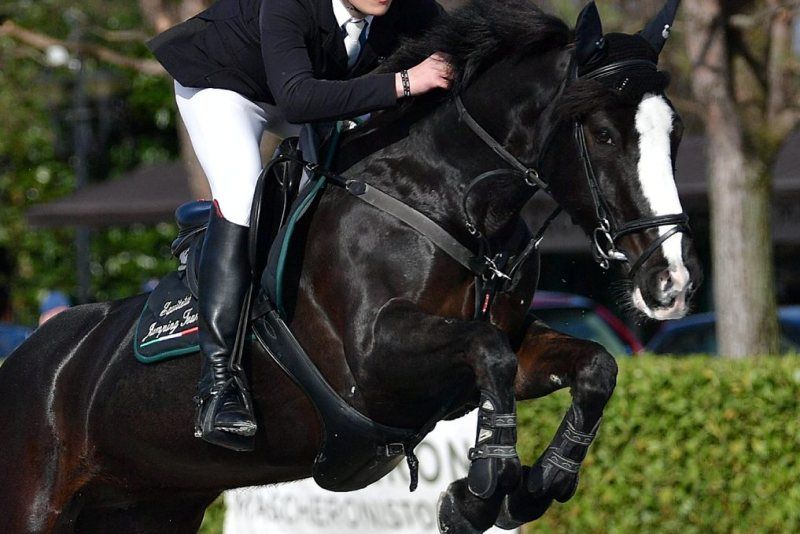 On line il Regolamento Pony Salto Ostacoli 2021