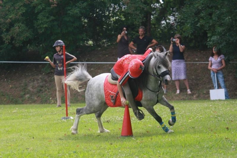 La crescita degli Sport Equestri passa dal nuovo Dipartimento “Promozione e sviluppo agonismo”