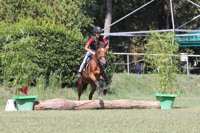 On line il nuovo Regolamento Pony Club