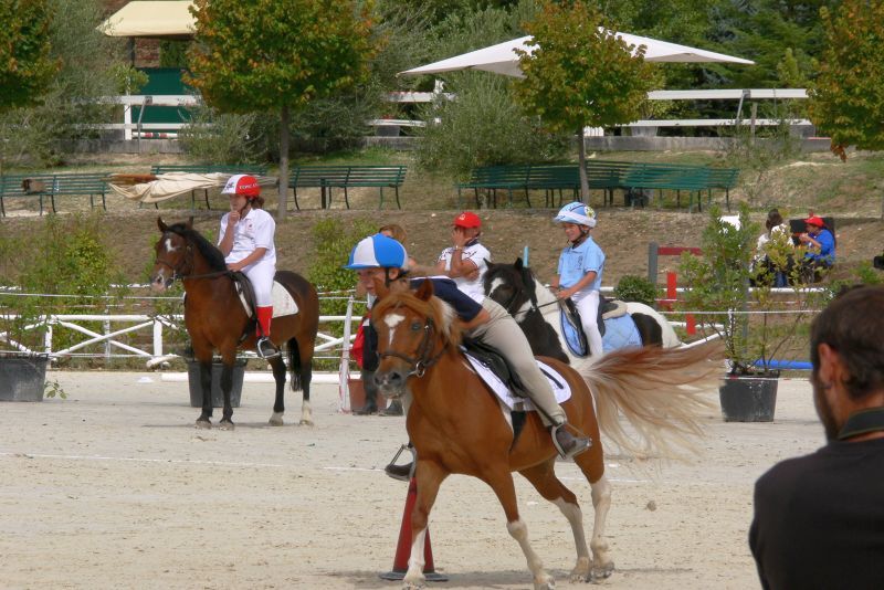 Invio candidature binomi selezione squadre per Campionati d’Europa e del Mondo MG   