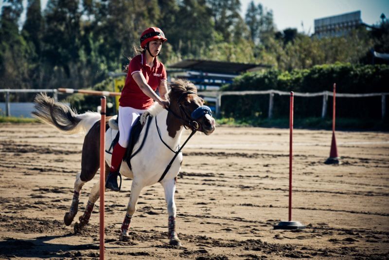 Pony Master Show 2017: disponibile il programma