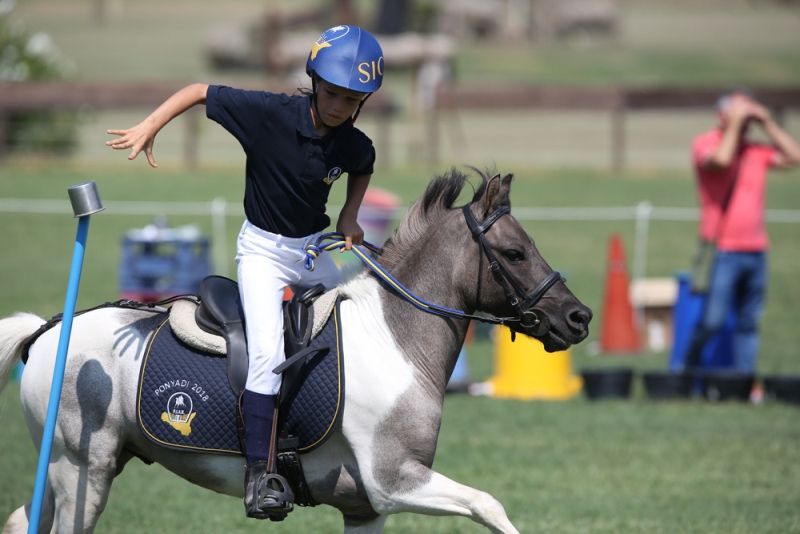 On line il Regolamento Formazione Arbitri Club e Direttori di Campo Club e Mounted Games