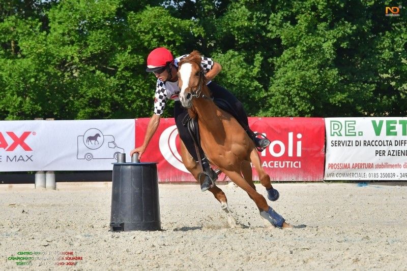 Calendario corsi Formazione e Aggiornamento Arbitri e Direttori di campo Club e Mounted Games