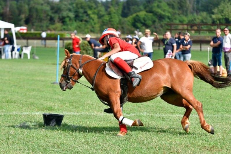 On line i Regolamenti Pony Club e della disciplina Mounted Games