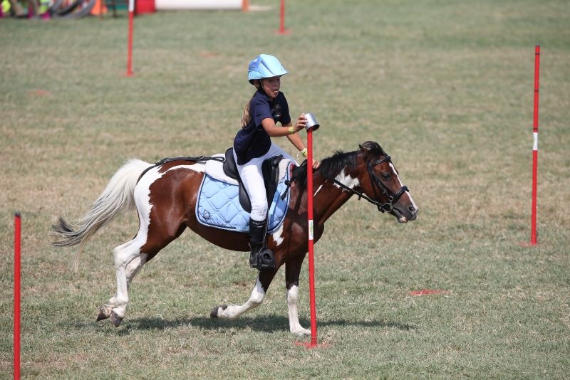 Regolamento Formazione Arbitri e Direttori di Campo Club e Mounted Games