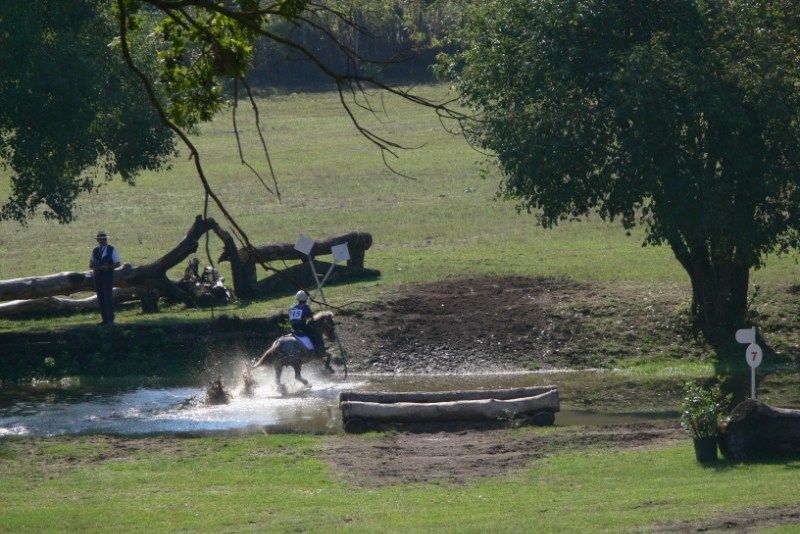Stage di Concorso Completo pony