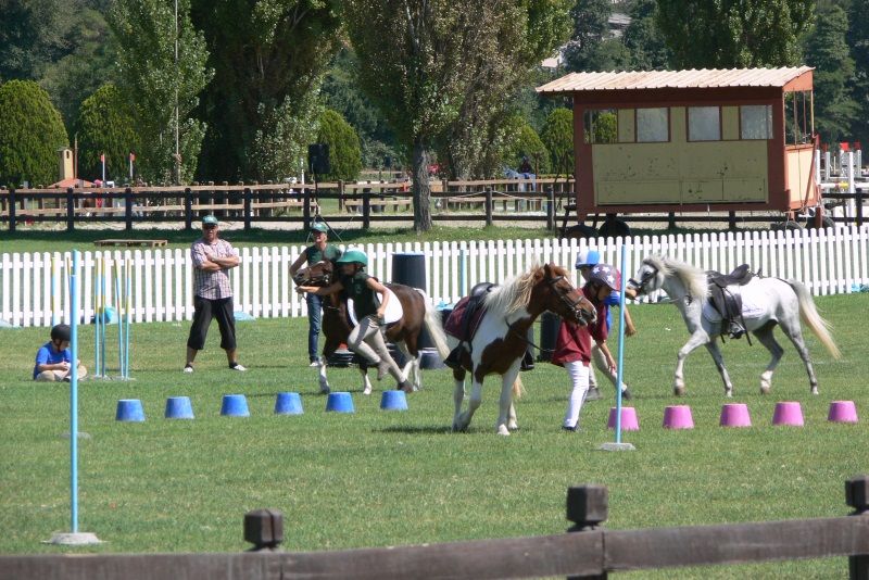 Ponyadi 2018: Roma chiama Tryon
