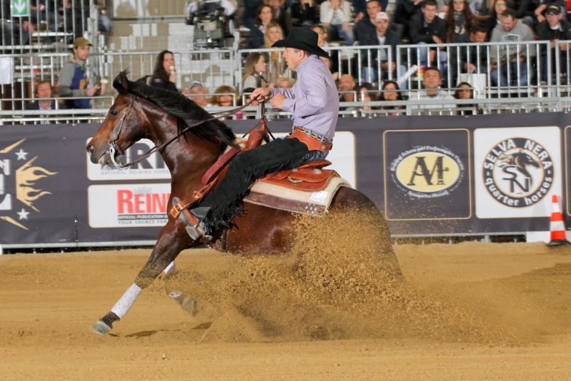 Attività internazionale Giovanile e Senior Reining 2024: gli appuntamenti 