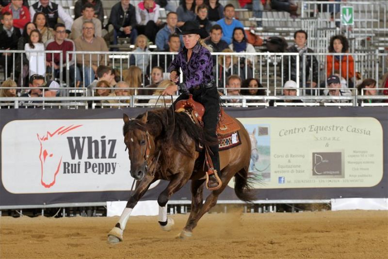 On line il programma delle attività 2017 Senior, Young Rider e Junior