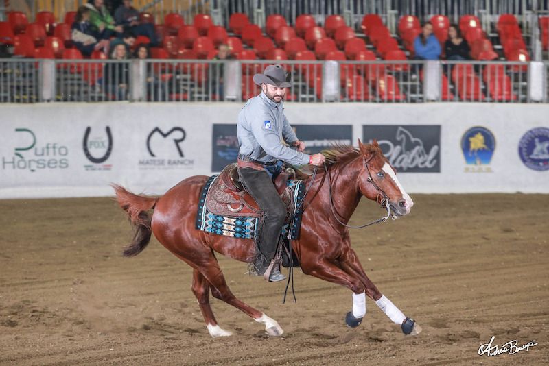 Cremona torna capitale del Reining