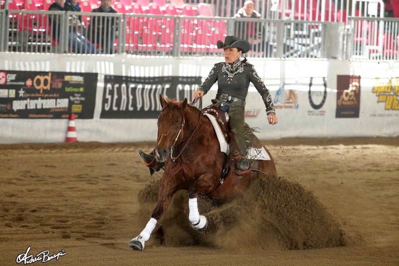 Saggio delle Scuole e Finale Avviamento al Reining: dal 7 al 10 dicembre alle Arene di Corropoli