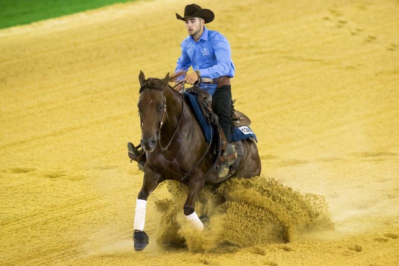 Saggio delle Scuole Reining: dal 13 al 15 dicembre all’Elementa Performance Horses