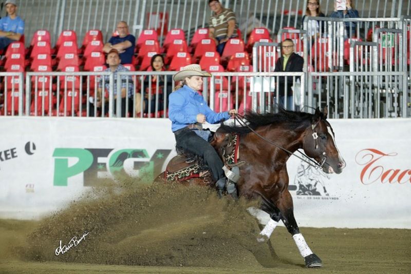 L’Italia del Reining si riafferma a Cremona