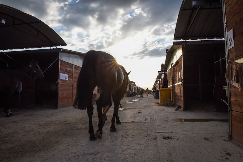 Al via "Le Lame International Sagrantino Tour Show Jumping"