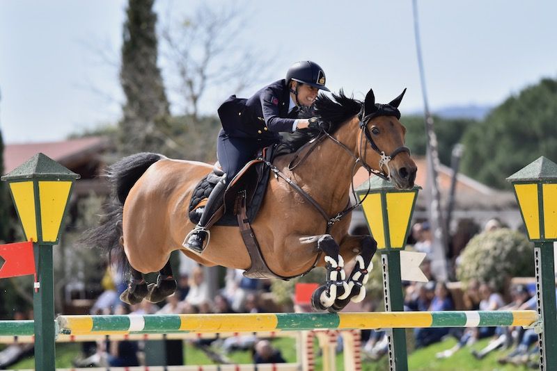 Martinengo Verdine horsesmedia 2