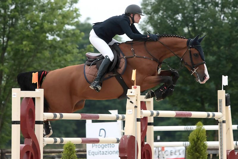 Al via ad Arezzo l'ultimo atto del Talent Show Jumping 2020