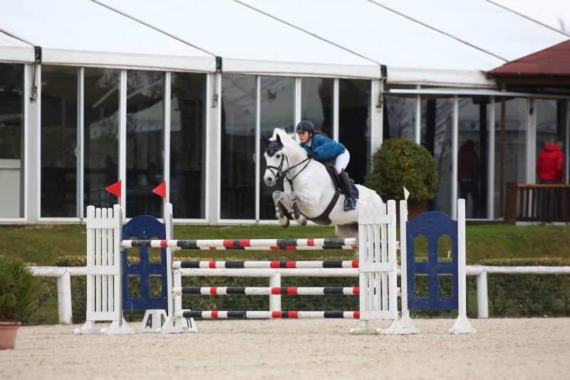 OZZELLO GIADA PONY DAISY BOY 