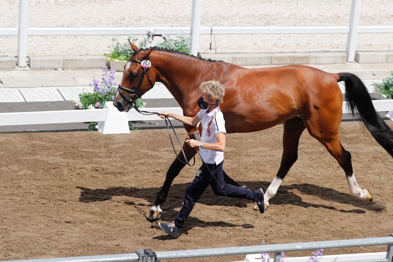 Bordone imperial grasso