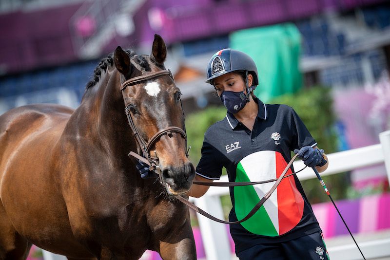 Paul Cavaglià vet check grasso