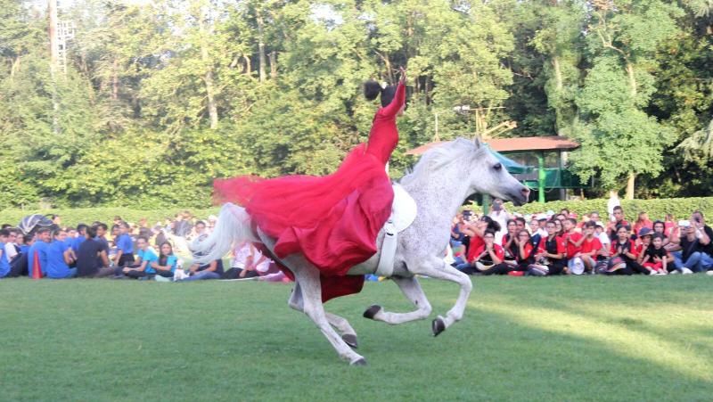 Campionati Italiani Pony Club e Mounted Gamed individuali, classifiche on line