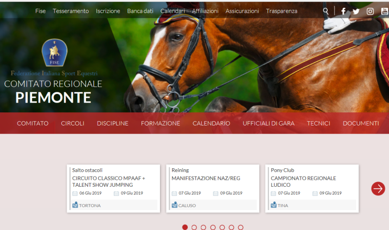 Comunicazione Fise 2.0, è la volta del Piemonte