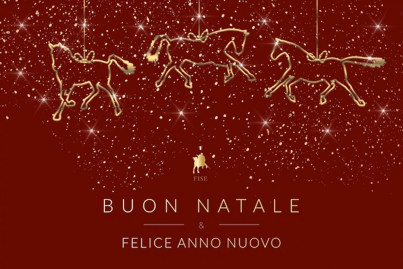 La FISE augura Buon Natale e Felice Anno Nuovo