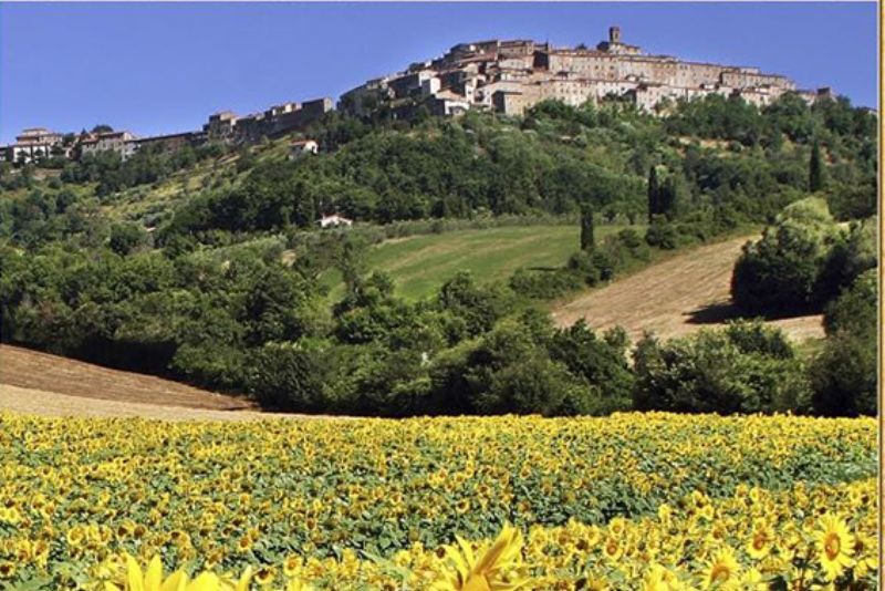 A Chiusdino un concorso amatoriale nel fine settimana