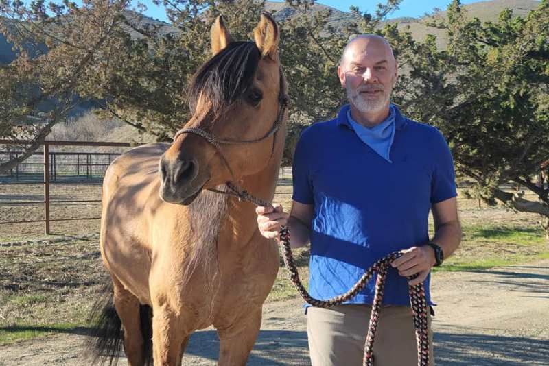 La UD 28 Horsemanship ed Etologia ad agosto in webinar con Telatin