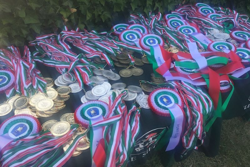 Campionati Italiani Pony Club: ancora pioggia di medaglie a Cervia