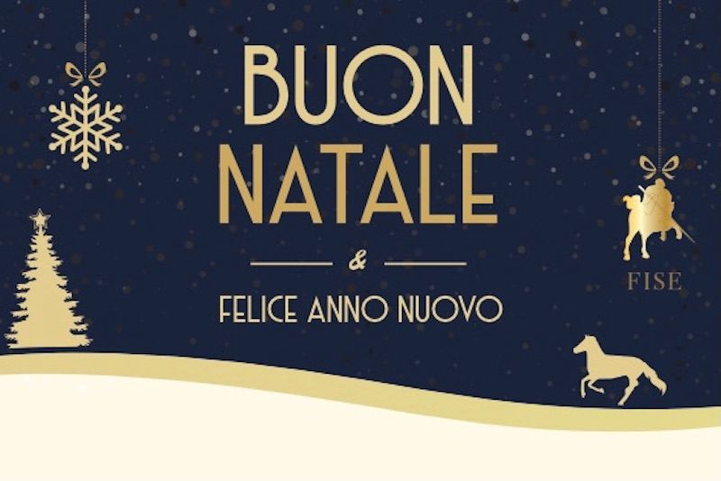 Buon Natale e felice anno nuovo