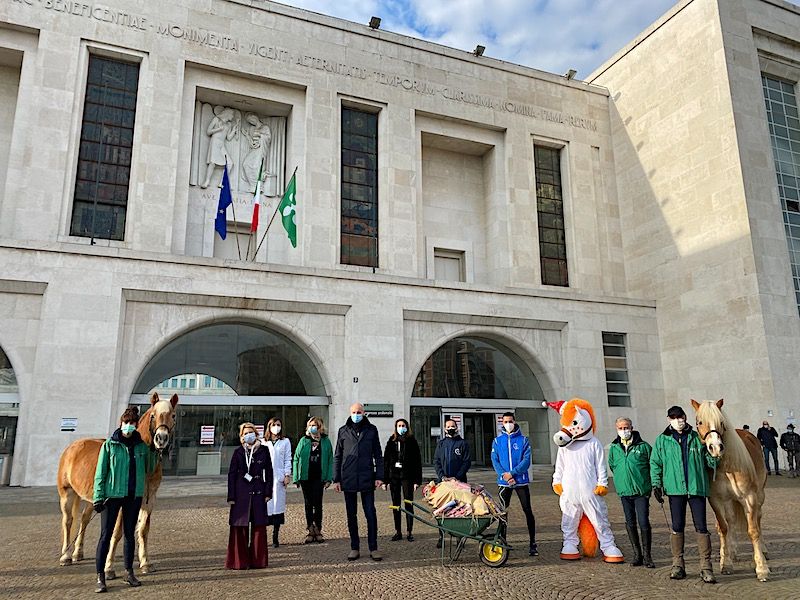 Natale con la FISE: l’edizione 2020