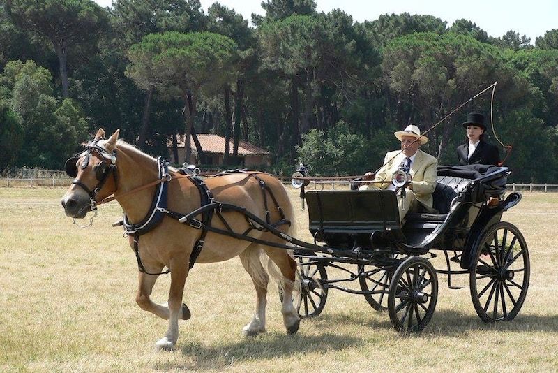 È scomparso Adolfo Paul Gross. Il cordoglio della FISE