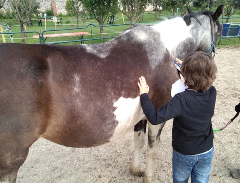 “Riding the Blue - Un cavallo per amico”
