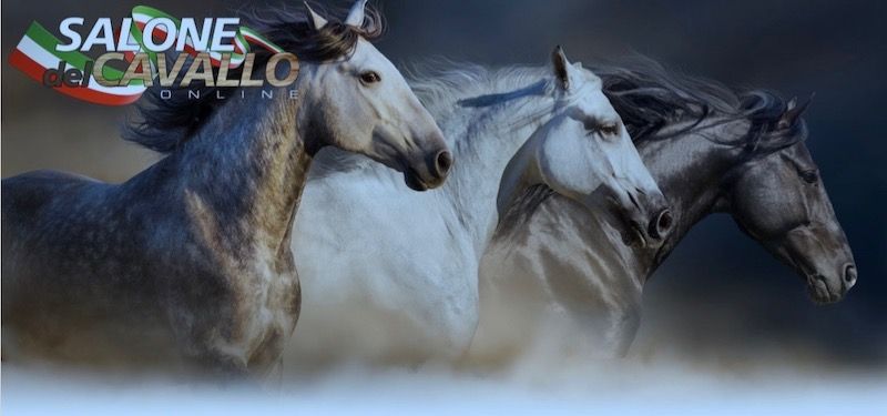 Attualità: al via sul web il Salone del Cavallo on line