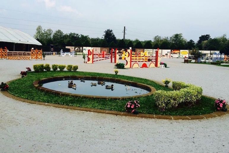 Campionato e Criterium giovani cavalli: ecco le attività allevatoriali