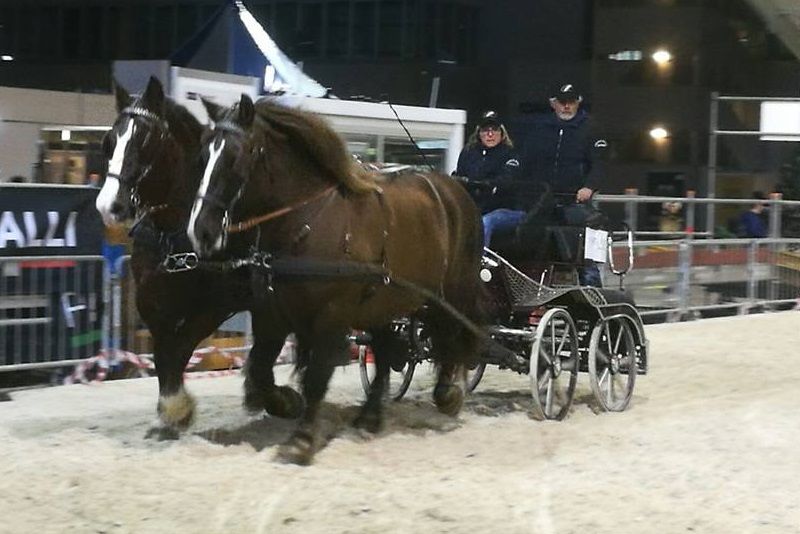 Concluso a Fieracavalli il  Campionato di Maneggevolezza del CAITPR