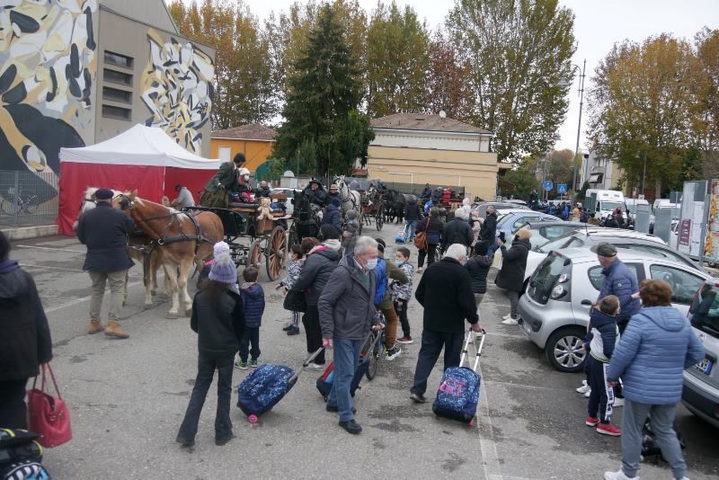 Carrozze a CARPI ottimizzata