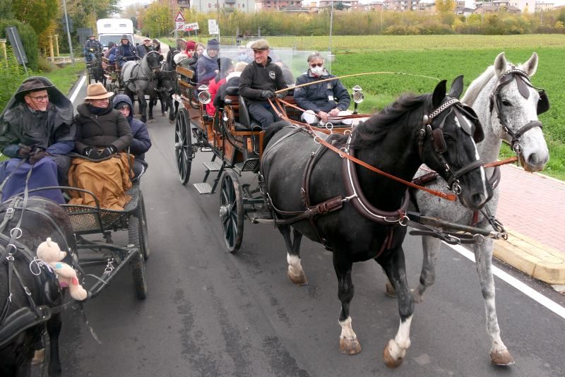 Paradriving in viaggio verso Fieracavalli, è la gioia che guida