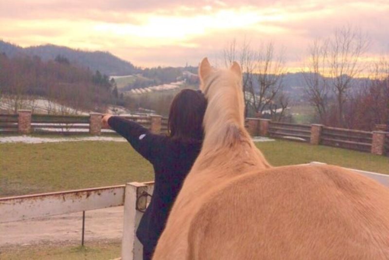 Rapporto Uomo-Cavallo: stiamo andando nella giusta direzione
