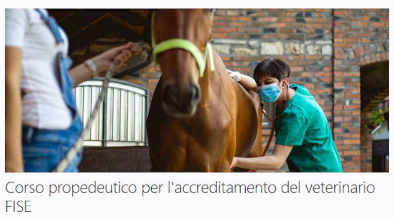 Online il corso FISE-FNOVI propedeutico per l’accreditamento del veterinario FISE