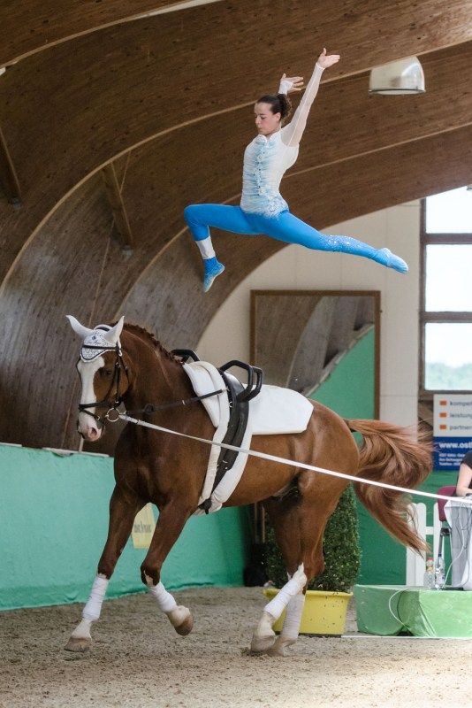 FEI Top Indoors Vaulting Masters: a Lipsia è Cavallaro la Regina